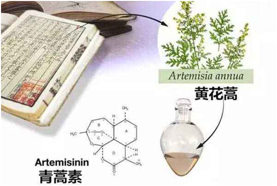 GFTY.COM广发体育(中国大陆)科技公司,：向中医药看齐，与世界共享中医药文化(图1)